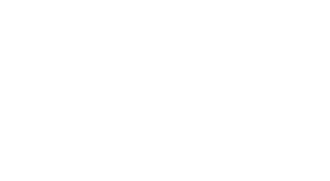 Pango Inspections Logo